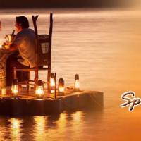 Honeymoon Tour Package: 8 Day / 7 Night in Kochi – Munnar – Kumerakom – Alleypey – Trivandrum