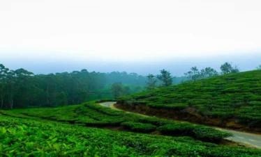 5 Nights / 6 Days Package : God’s Own Country
