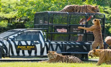 Splendid Bangkok & Pattaya with Safari World