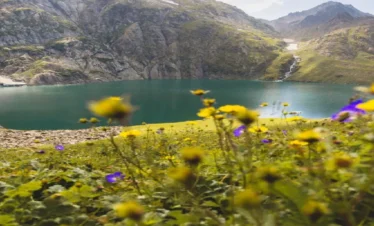 Valleys & Meadows of Kashmir