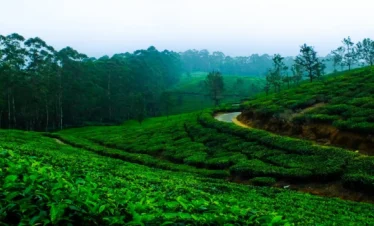 2 Nights / 3 Days Package : God’s Own Country