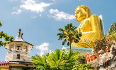 Sri Lanka Heritage & Hills Escape
